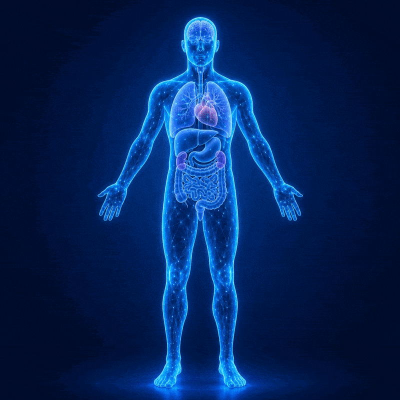 Why Inflammation Drives